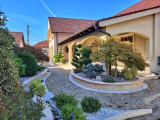Sika President Garden & Spa Central Apartment Arad - Arad - 9