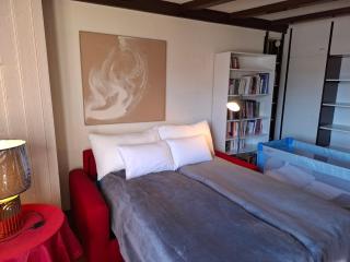 Le Nid d'aigle apt 405 Leysin centre avec forfait piscine sauna jacuzzi en option - 1