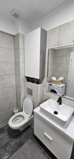 89 Apart Lux Fundeni - Bucharest - 3