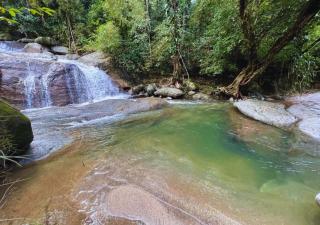 La Merecida, Nature Reserve, Coffee Cocoa Wellness - La Esmeralda - 4