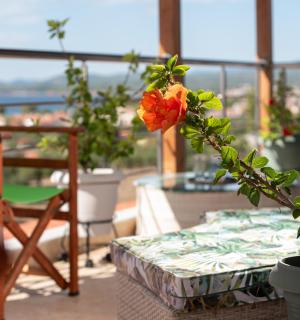 Luxury Apartment - Nikiti - 1
