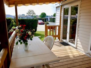 Large 2 bedroom mobile home Cc441 Siblu Les Charmettes - Les Mathes - 8