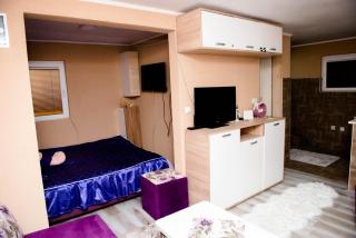 Stan na dan Danijela - 1