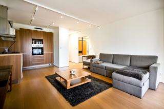 Strasbourg bel appartement gare - Strasburgo - 0