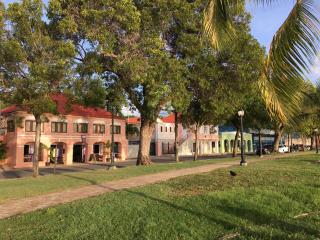 The Heart of Frederiksted - Steps Away from the Beach - Frederiksted - 0