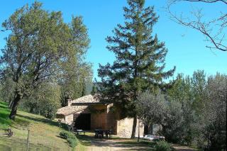 Agriturismo Cuore Verde La Madreselva a Spello - Spello - 1