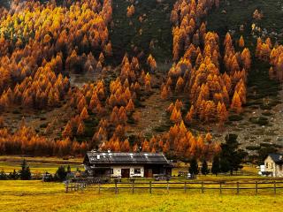 Baita Pomo - Livigno - 3