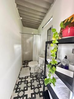 Cabaña privada cerca a termales San Vicente - Santa Rosa de Cabal - 4