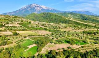Alpeta Agrotourism & Winery - Roshnik , Berat - Berat - 7