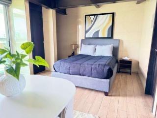 Beautiful and comfortable Rooftop suite - Città del Messico - 6