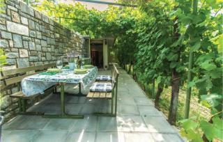 Olive ranch - Strunjan - 3