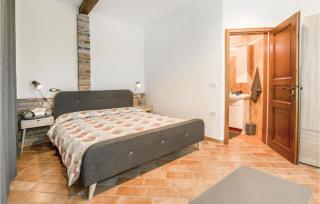 Olive ranch - Strunjan - 2
