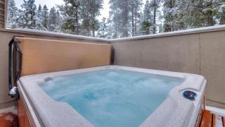 Witch Hazel - Unit 1 - 9