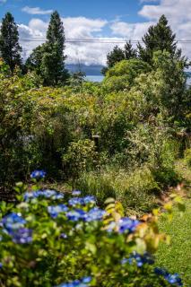 The Enclave - Rotorua - 3