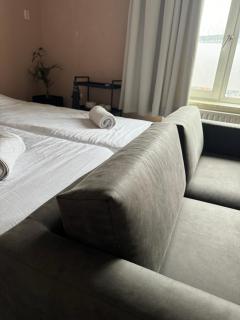 Kamer vlinder vlucht - Tilburg - 0