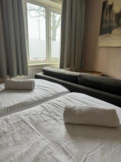 Kamer vlinder vlucht - Tilburg - 9