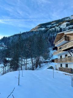 Chalet Flachaire - Abondance - 4