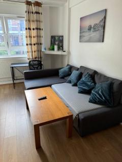one bedroom apartment in Tower Bridge road - Londra - 9