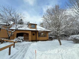 O1 Slopeside Bretton Woods cottage with AC large patio and private yard Walk to slopes - 9
