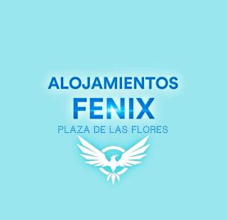 Alojamientos Fenix - 0
