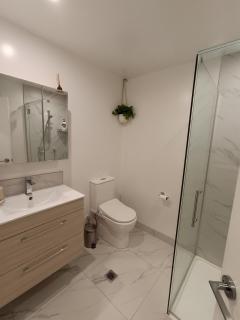 A Quiet Modern and Brand New Gem - 4