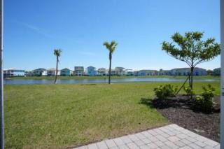 BRAND NEW Private Oasis 4 BR - Margaritaville - Orlando - 8