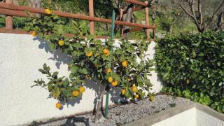 Villino Isabella - 7