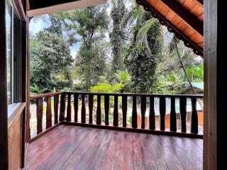 Jungle Mansion With Pool - Playa Negra - Hone Creek - 6