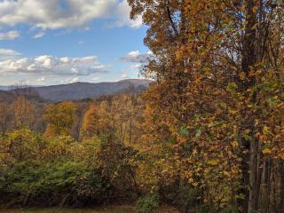 Cozy 5BR Cabin Retreat w Great Views & FirePit - Banner Elk - 9