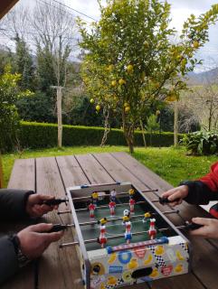 Casa Rural El Jondrigu - Cangas de Onís - 5