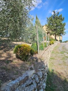 Casa di Campagna Il Granaio - Barberino di Mugello - 2