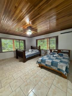 HOPE GARDEN, SARAPIQUÍ, We connect you with the Sarapiquí tropical forest - Sarapiquí - 7