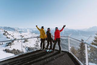 Chalet Abeille 12 Guests • Hot Tub • Free Ski Bus - Les Gets - 3