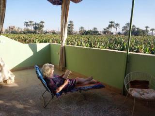 Luxor Experience Guest House - 2