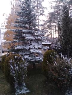 Apartman Šumski San - 1