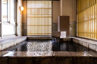 Natural Hot Spring Ariston Hotel Oita - 0