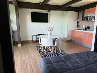 Incredible Rooftop suite with city view - Città del Messico - 7
