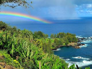 Seacliffbnb - Laupahoehoe - 9