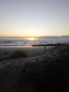 Para un poquito oasis - 4