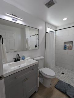 Best Location pet friendly Home just renovated - 6
