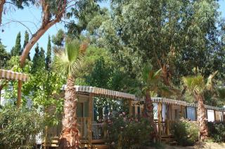 Camping de la Baie - Cavalaire-sur-Mer - 6
