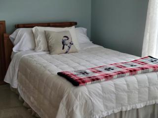 Modern, Amish-Built Farmhouse, 3 bedrooms sleeps 6 - Medina - 7