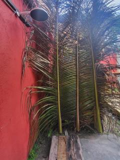 A Casita - Arraial d'Ajuda - 1