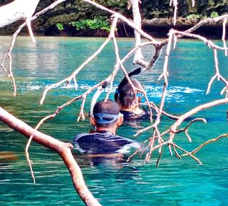 Raja Ampat Snorkeling - - 1