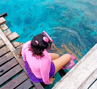 Raja Ampat Snorkeling - - 2
