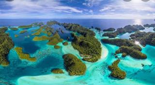 Raja Ampat Snorkeling - - 7