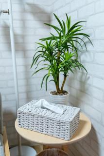 楽逸グループ 四ツ木 102t - 2