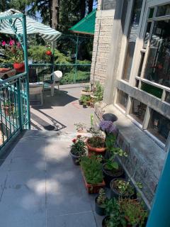 Scenic Hill View 3BHK Near Mall Road Stonewood - Dalhousie - 8