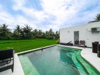 White Cubes Villas - Ubud - 3