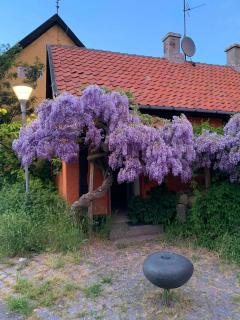 Charming House With Sea View In Allinge - Allinge - 4